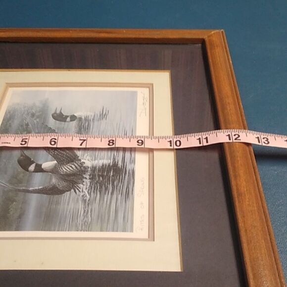 Rites of Spring by Don Li-Leger Framed Art Print Triple Matte Loons Singed - Picture 7 of 10
